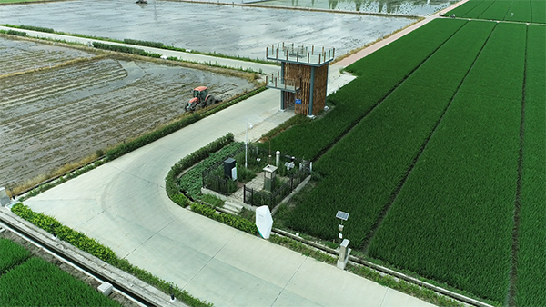 打造高标准农田建设古林样板 夯实宁波现代农业发展基础